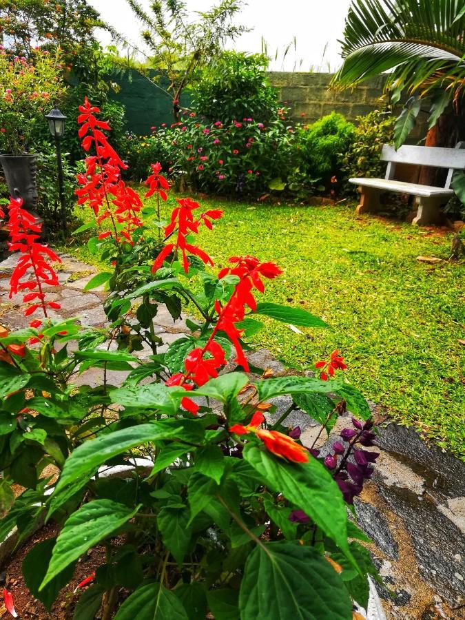Barefoot Inn Kandy Exterior foto